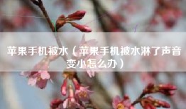 苹果手机被水（苹果手机被水淋了声音变小怎么办）