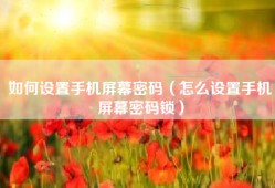 如何设置手机屏幕密码（怎么设置手机屏幕密码锁）