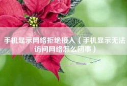 手机显示网络拒绝接入（手机显示无法访问网络怎么回事）