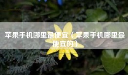 苹果手机哪里最便宜（苹果手机哪里最便宜的）