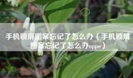 手机锁屏图案忘记了怎么办（手机锁屏图案忘记了怎么办oppo）