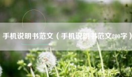 手机说明书范文（手机说明书范文200字）