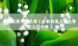 手机联系人黑名单（手机联系人黑名单怎么拉出来）