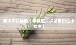 手机照片换脸（手机照片换脸用微信小程序）