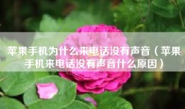 苹果手机为什么来电话没有声音（苹果手机来电话没有声音什么原因）