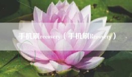 手机刷recovery（手机刷Recovery）