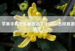 苹果手机怎么算激活了（iphone怎样算激活了）