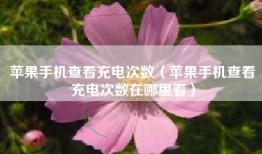 苹果手机查看充电次数（苹果手机查看充电次数在哪里看）