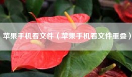 苹果手机看文件（苹果手机看文件重叠）