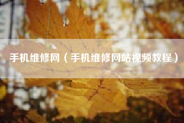 手机维修网（手机维修网站视频教程）