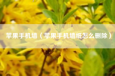 苹果手机墙（苹果手机墙纸怎么删除）