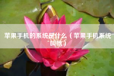 苹果手机的系统是什么（苹果手机系统叫啥）