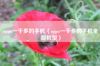 oppo一千多的手机（oppo一千多的手机全部机型）