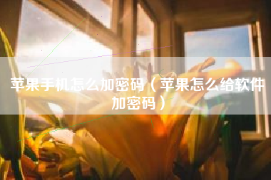 苹果手机怎么加密码（苹果怎么给软件加密码）